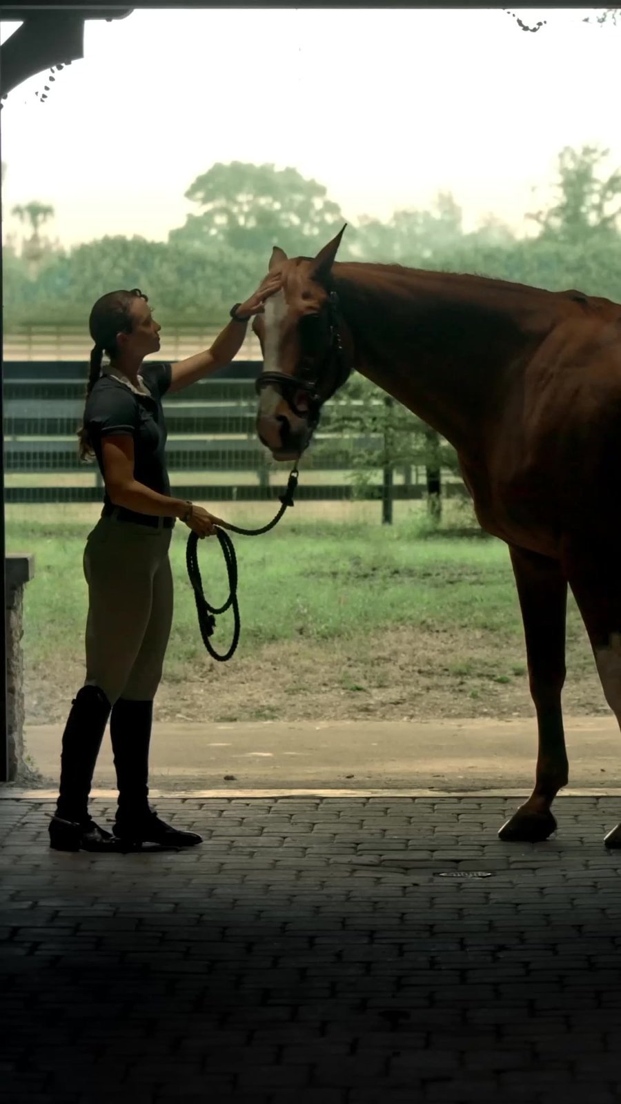 Jinete acariciando a su caballo antes de una sesión de entrenamiento